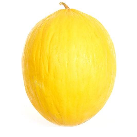 Honigmelone, 1 Stück