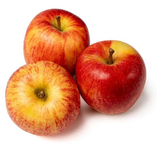 Apfel Gala, 1 Stück (ca. 180g🇮🇹)