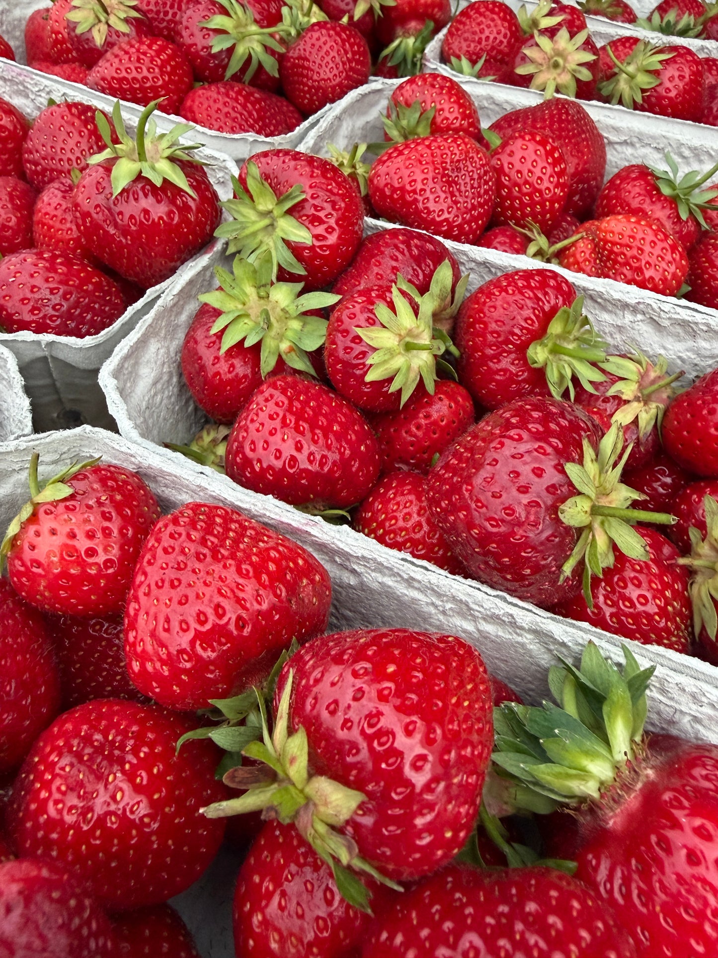 Erdbeeren, 500g (DE🇩🇪)