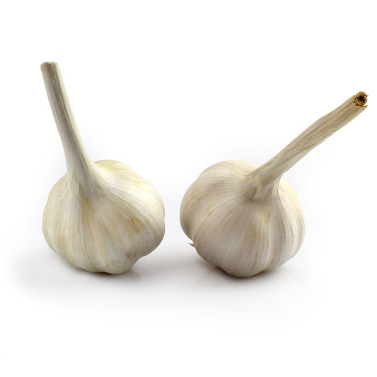 Knoblauch frisch, 1 Stück