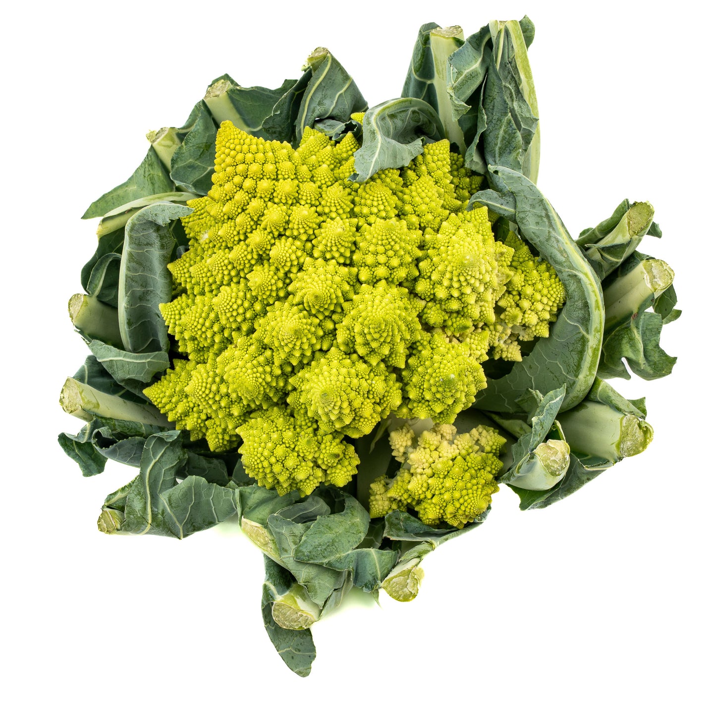 Romanesco, 1 Stück